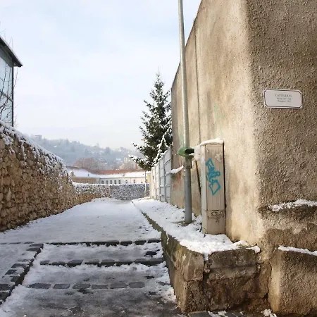 Daly 1 Brasov